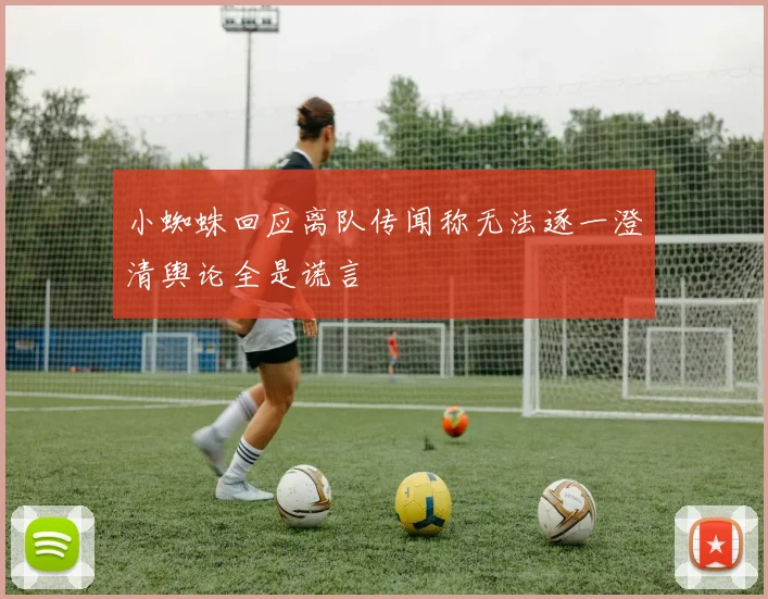 小蜘蛛回应离队传闻称无法逐一澄清舆论全是谎言