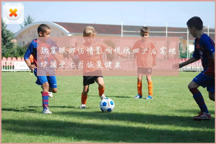 魏震眼部伤情影响视线回沪后需继续接受治疗恢复健康