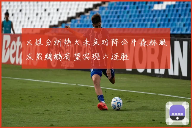 火媒分析热火未来对阵公牛森林狼灰熊鹈鹕有望实现六连胜