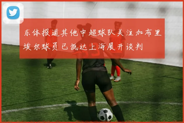 东体报道其他中超球队关注加布里埃尔球员已抵达上海展开谈判